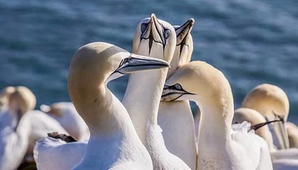 开云体育下载-视频 | 直击U23亚洲杯国足决赛前最后一练：队内氛围轻松